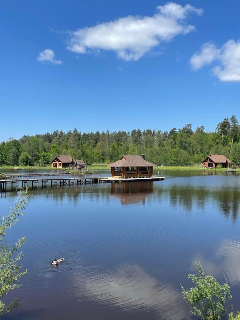 Летний дом On The With Bathhouse 70 Km From Kiev Makariv